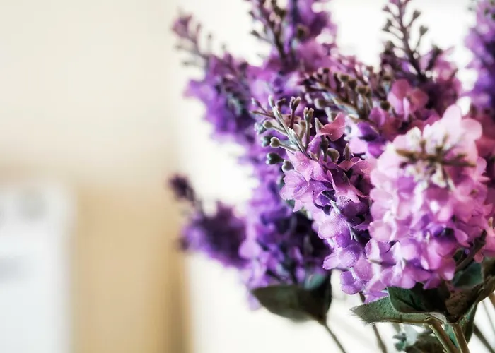 Bed & Breakfast Palazzo Eugenia