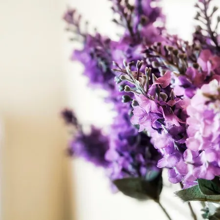 Bed & Breakfast Palazzo Eugenia